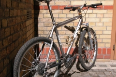 Moots-4